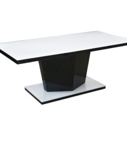 Nora Super White Glass Coffee Table White & Black